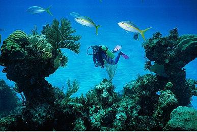 VR设备Meta Quest 2售价上调并赠送《节奏光剑》